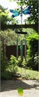 Spotted Blue Dragonfly Wind Chime