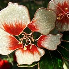 Two Flowers Wind Chime, white