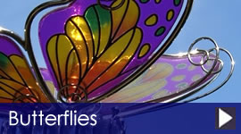 themed_butterflies1.jpg
